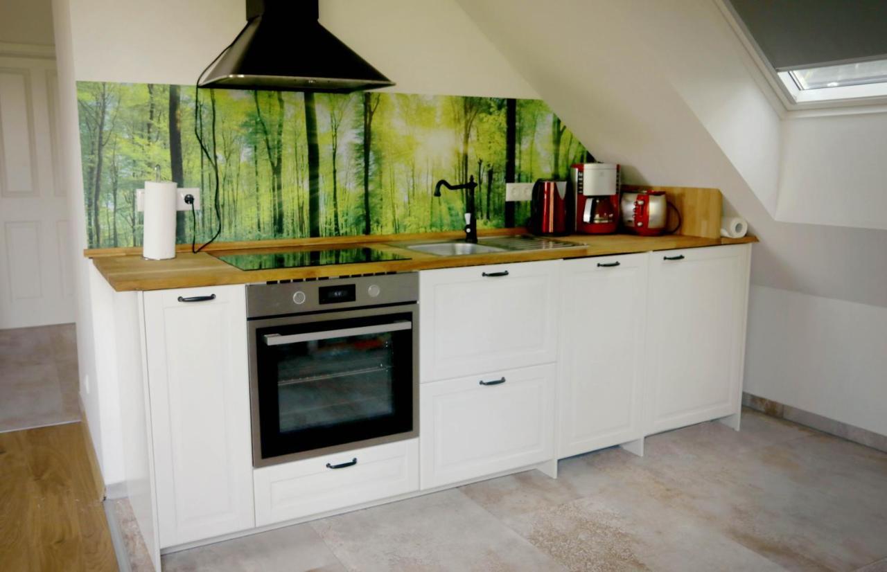 Ferienwohnung Am Muehlenteich ベーリッツ エクステリア 写真